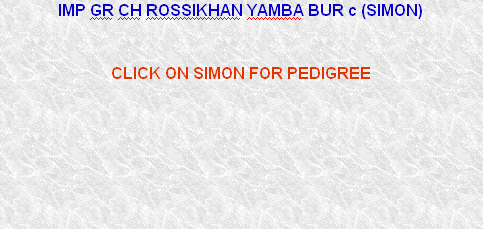 IMP GR CH ROSSIKHAN YAMBA BUR c (SIMON)  


CLICK ON SIMON FOR PEDIGREE



 

 

.